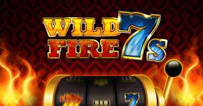 Nin Bet wild fire 7
